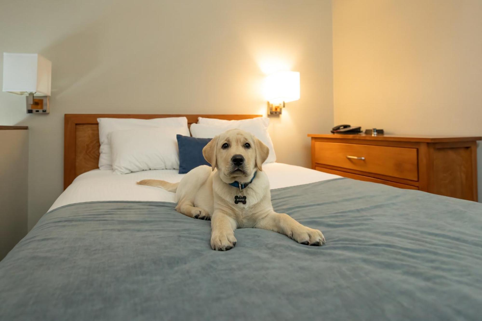 Whistler Village Inn & Suites Luaran gambar